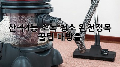 ✨ 산곡4동 소독 청소 완전정복! ✨ 꿀팁 대방출!