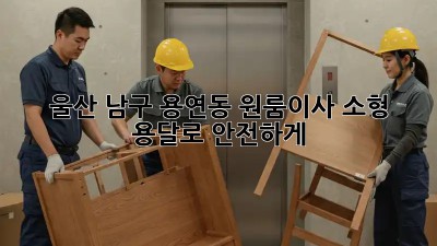 울산 남구 용연동 원룸이사? 소형 용달로 안전하게!